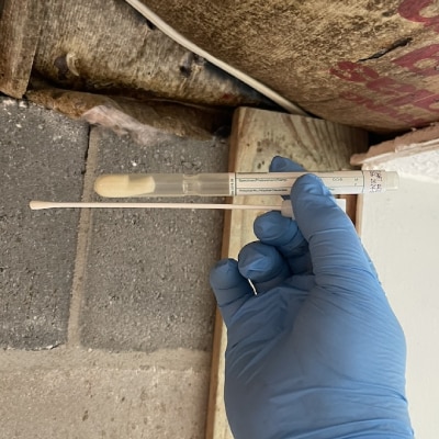 MOLD TESTING